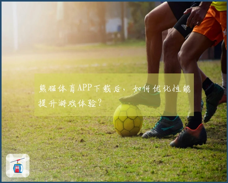 熊猫体育APP下载后，如何优化性能提升游戏体验？