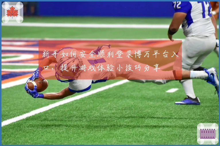 新手如何安全顺利登录博万平台入口，提升游戏体验小技巧分享