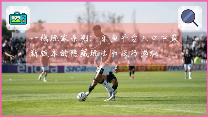 一线玩家亲测：乐鱼平台入口中最新版本的隐藏玩法和技巧揭秘