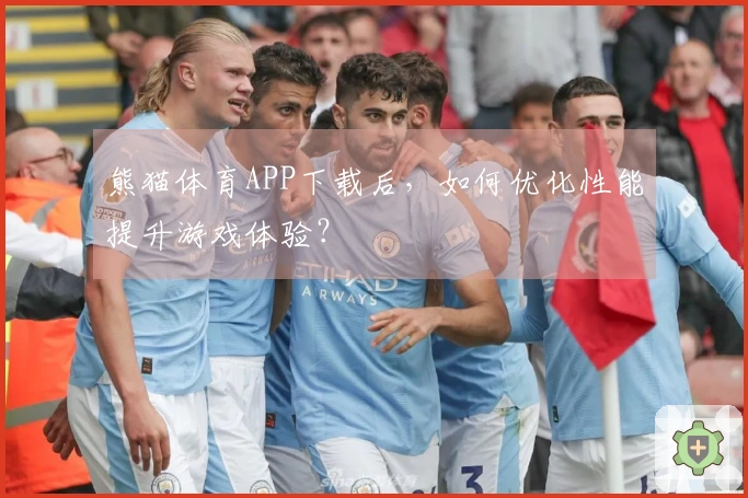 熊猫体育APP下载后，如何优化性能提升游戏体验？