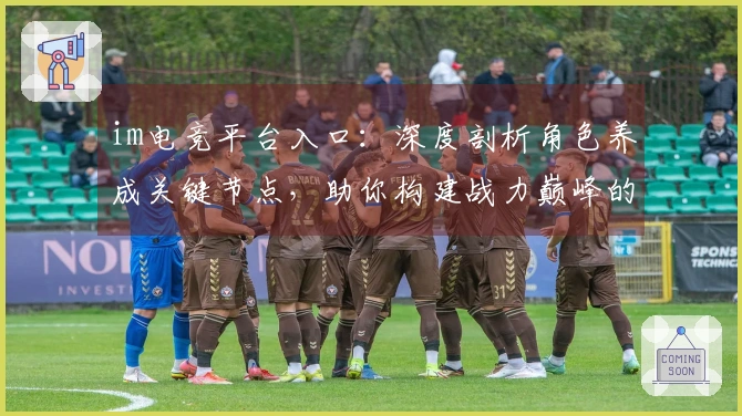 im电竞平台入口：深度剖析角色养成关键节点，助你构建战力巅峰的阵容体系