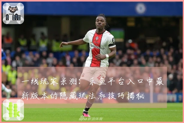 一线玩家亲测：乐鱼平台入口中最新版本的隐藏玩法和技巧揭秘