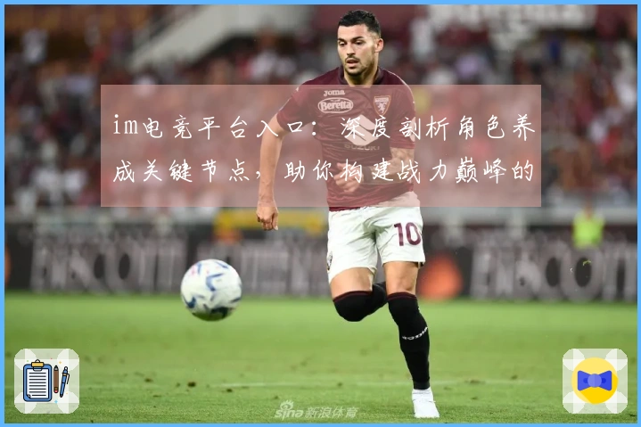 im电竞平台入口：深度剖析角色养成关键节点，助你构建战力巅峰的阵容体系