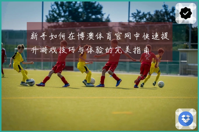 新手如何在博澳体育官网中快速提升游戏技巧与体验的完美指南